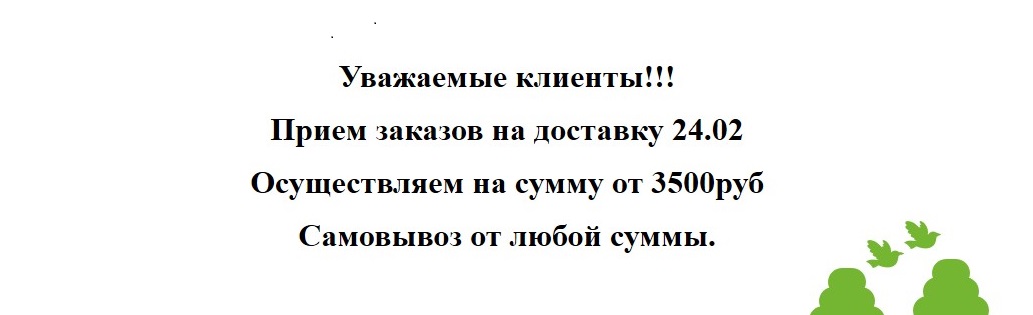 ограничение на 24.02.2026